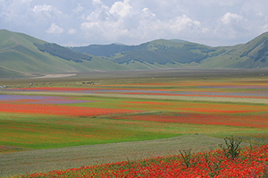 Castelluccio